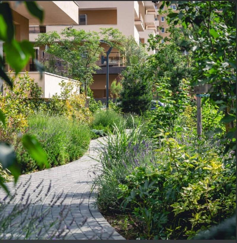 Ama By Melis Apartment Brasov Ngoại thất bức ảnh